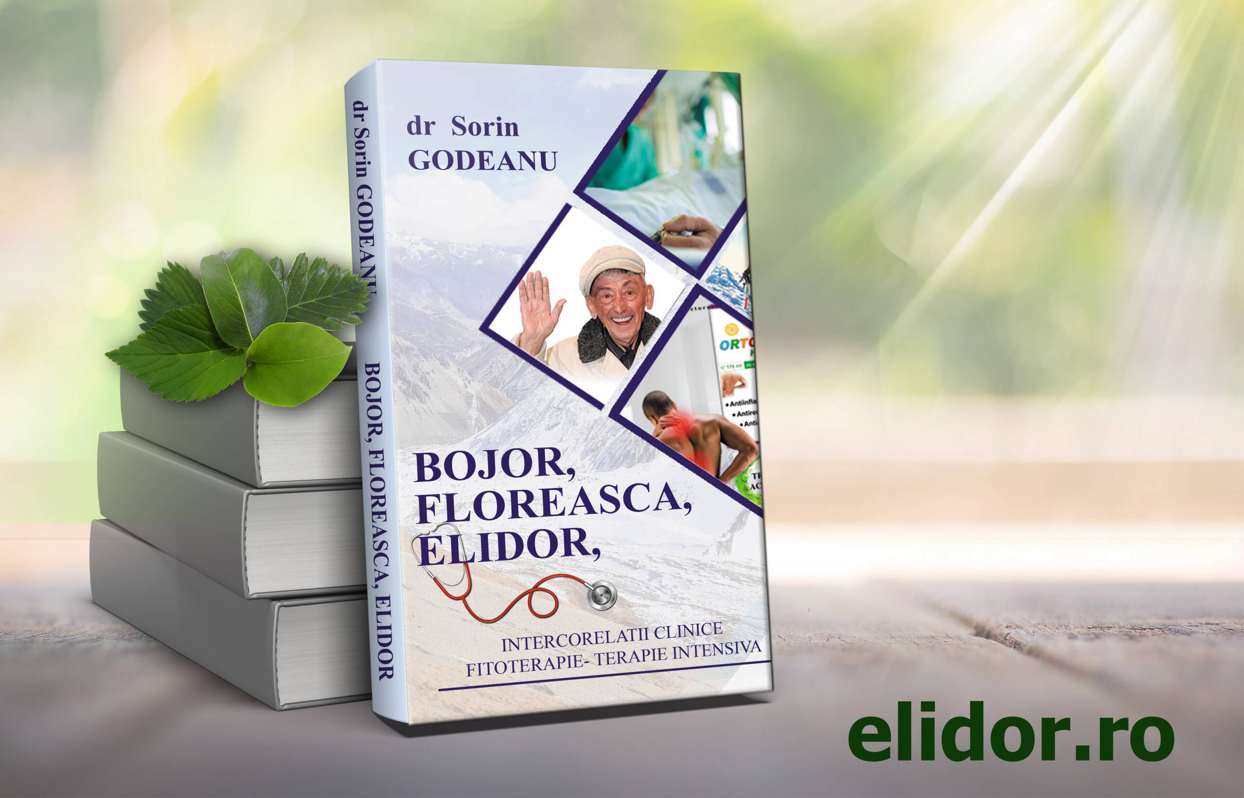 BOJOR, FLOREASCA, ELIDOR BOJOR, FLOREASCA, ELIDOR